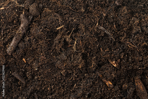Fertile soil texture background, top view. Gardening or planting concept, natural pattern.