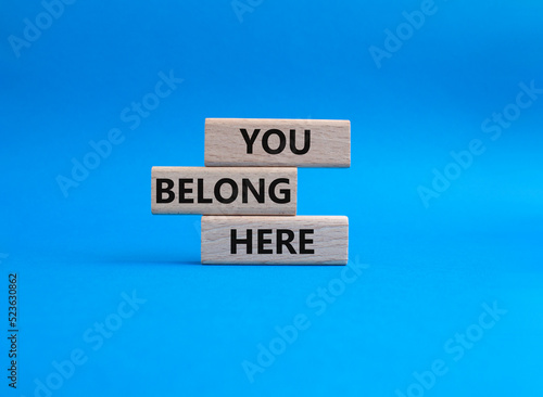 You belong here symbol. Wooden blocks with words You belong here. Beautiful blue background. Business and You belong here setbacks concept. Copy space.