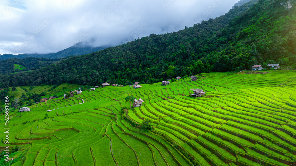 Aerial view of Rice terrace at Ban pa bong piang in Chiang mai, Thailand. Aerial view of Rice terrace at Ban pa bong piang in Chiang mai, Thailand.