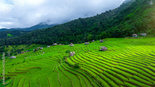 Εκτύπωση καμβά Aerial view of Rice terrace at Ban pa bong piang in Chiang mai, Thailand