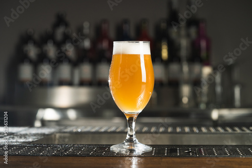 alcohol, alcoholic, ale, apron, bar, barman, barmen, bartender, beer bottle, beer glass, beverage, brewed, brewer, brewery, close-up, craft, craft beer, dark, drink, foam, froth, glass, gold, golden, 