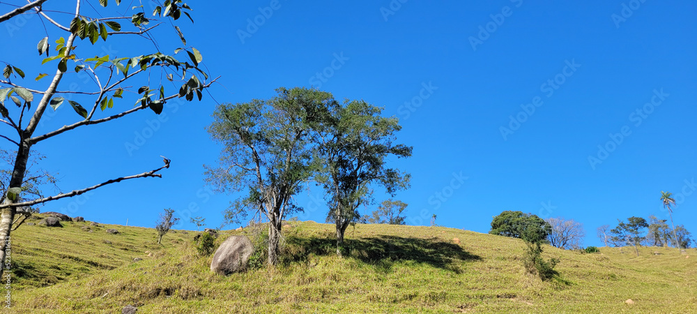 farm landscape on a sunny day with green pasture farm landscape on a sunny day with green pasture
