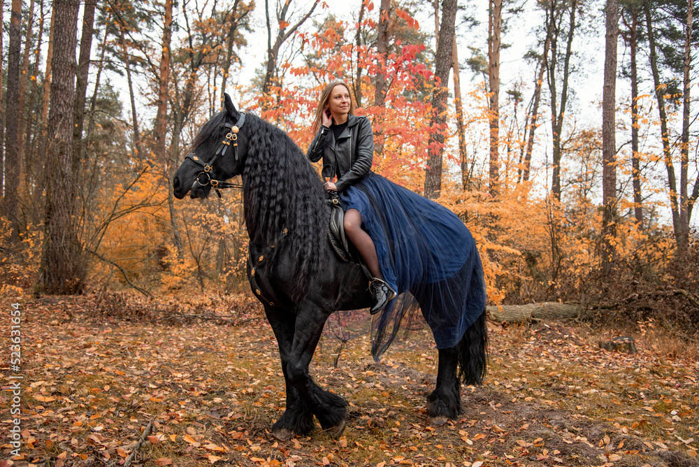 young beautiful smiling woman in long blue skirt riding black Friesian horse  in autumn forest with yellow leaves