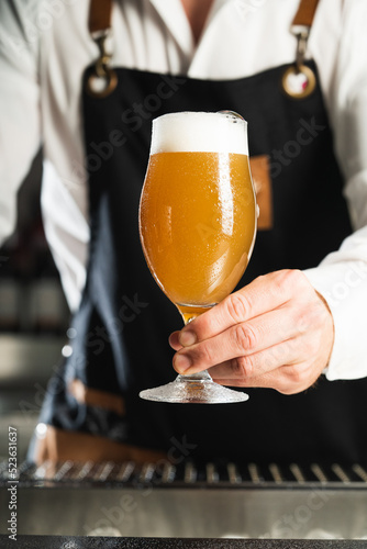person holding a glass of beer