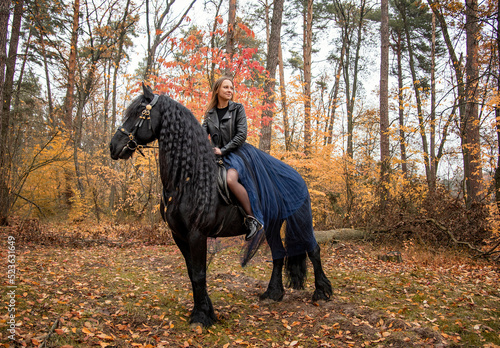 young beautiful smiling woman in long blue skirt riding black Friesian horse  in autumn forest with yellow leaves