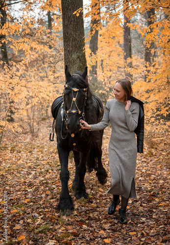 young beautiful smiling woman walking with black Friesian horse  in autumn park with yellow leaves © Tetatet