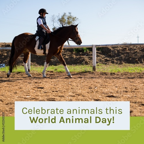 Composition of celebrate animals this world animal day text over biracial boy riding horse