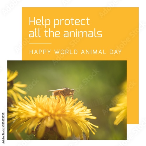 Composition of help protect all the animals happy world animal day text over bee on flower