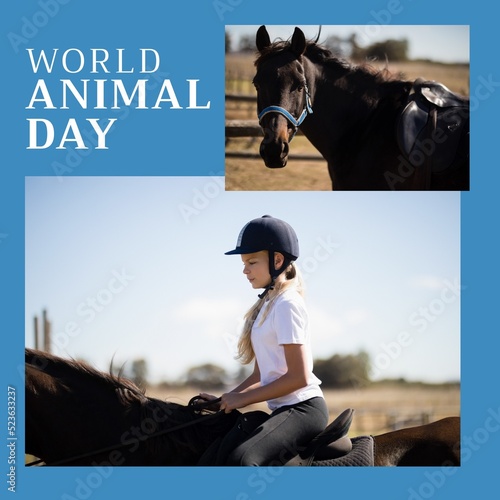 Composition of world animal day text over caucasian girl riding horse on blue background