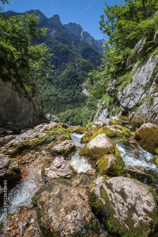 view from the source of the river Soča