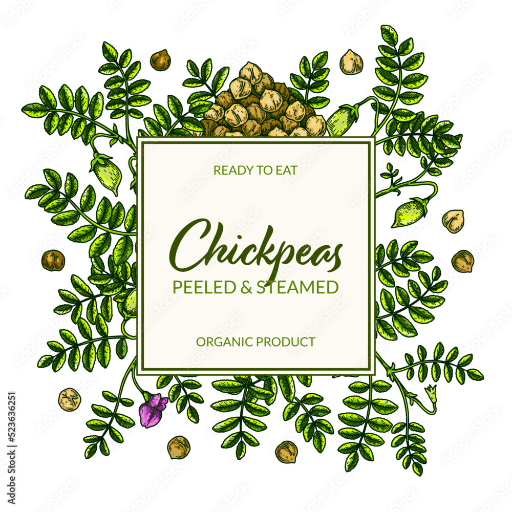 Colorful chickpeas frame. Hand drawn illustration in colored sketch ...