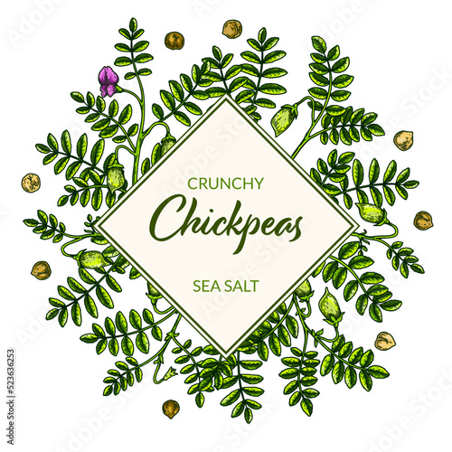 Colorful chickpeas frame. Hand drawn illustration in colored sketch style. Botany design for packaging, label, banner, logo