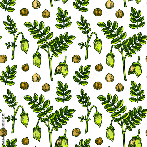 Hand drawn chickpeas seamless pattern. Vector illustration in colored sketch style
