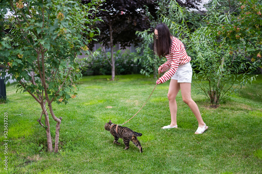 Young woman walking a tabby cat outdoors. Young woman walking a tabby cat outdoors.