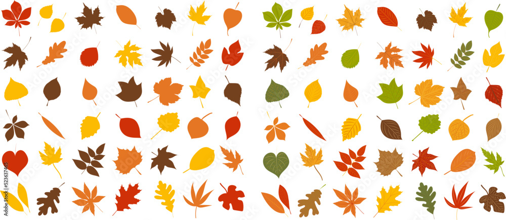 autumn tree leaves collection in flat style, isolated, vector autumn tree leaves collection in flat style, isolated, vector