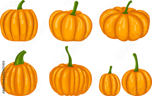 orange pumpkins set in flat style, isolated, vector