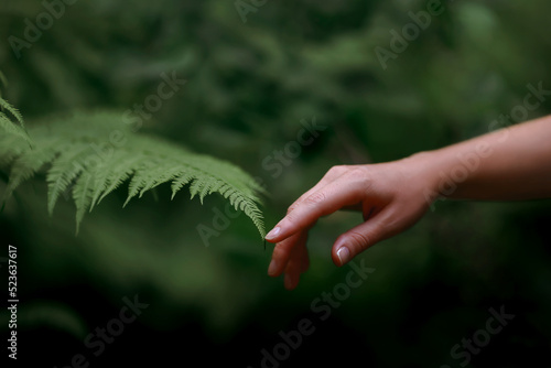 A woman's hand and a fern leaf. Man and nature