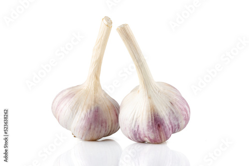 Raw garlic isolated on white background. Full depth of field. Close-up