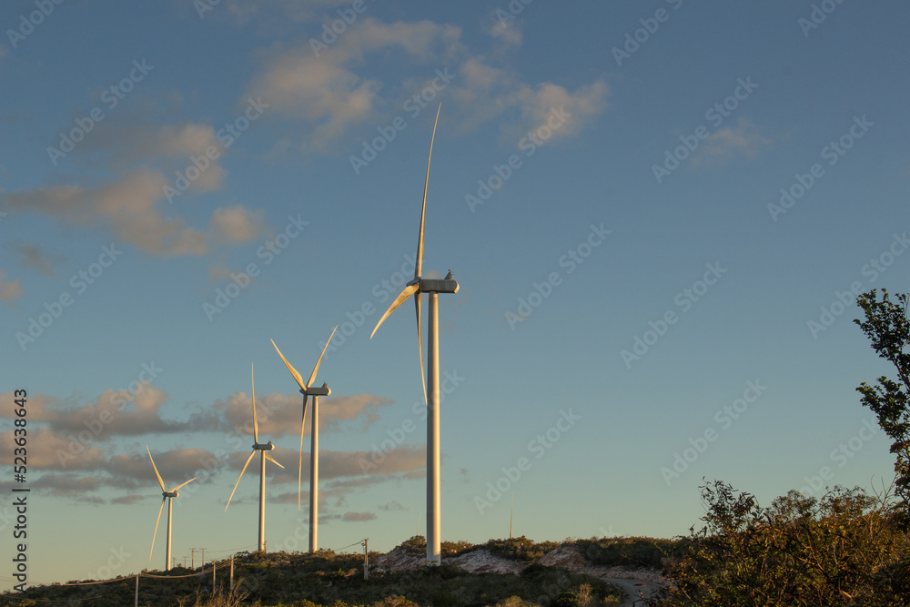 wind power towers in the late afternoon wind power towers in the late afternoon