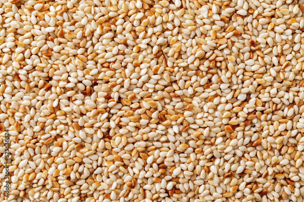 Roasted sesame seeds macro background. Texture of toasted Sesamum indicum closeup. Organic benne seeds as asian cuisine ingredient. White til as calcium source for healthy food concept.