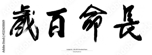 Chinese Handwriting Calligraphy - Longevity . Life Of A Hundred Years