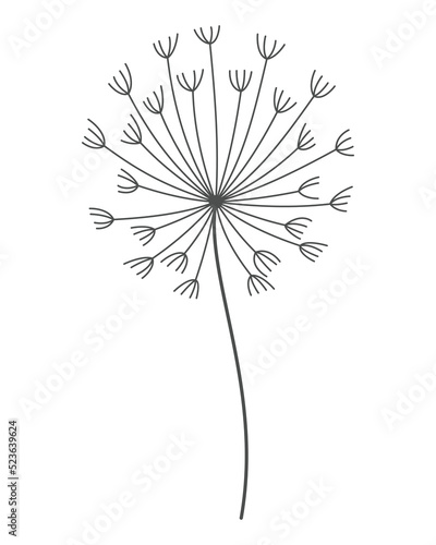Dandelion flower. Nature floral hand drawn stylized decorative blooming silhouette of fluffy seeds flower. Ssketched monochrome design element in black linear style