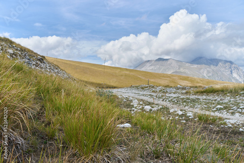 Walking path at Monti Sibillini national park in the summer with mount Vettore in the background, Italy