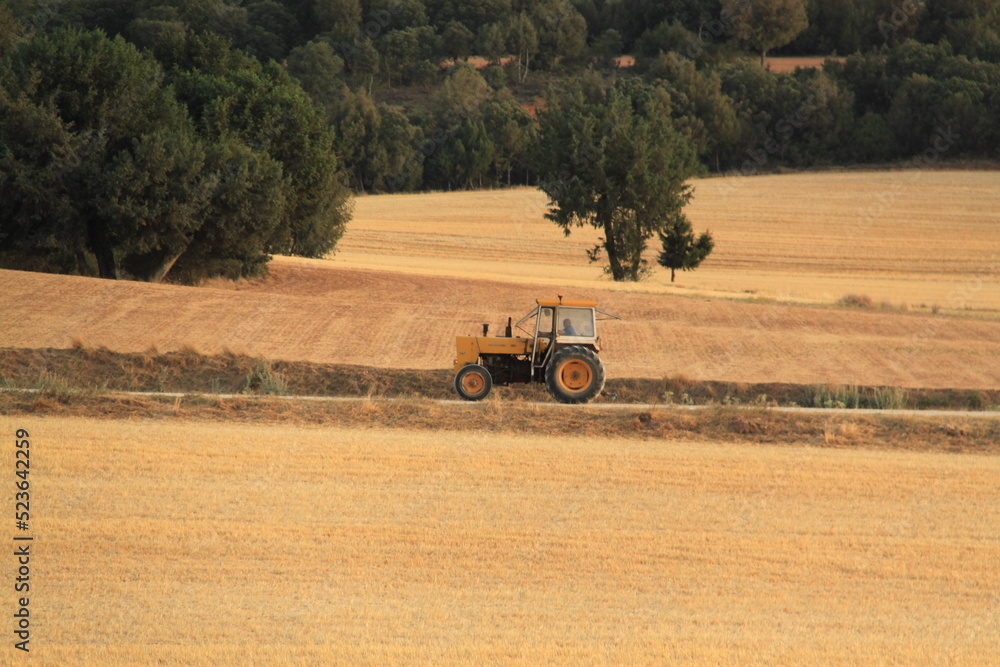 Obraz premium Tractor 