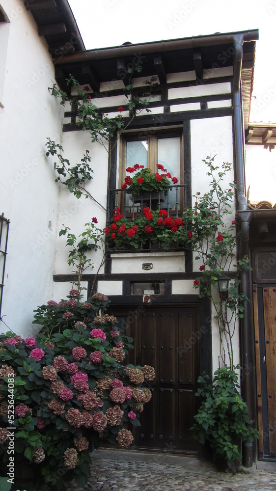 Fototapeta premium Covarrubias 