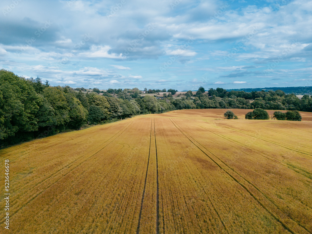 Aerial view of agricultural farmland for growing crops. Farmer's field shot by a drone.