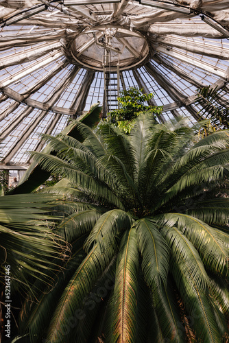 Photography Gewächshäuser im Botanischen Garten Kopenhagen