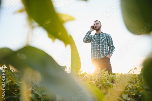 Agronomist inspects soybean crop in agricultural field - Agro concept - farmer in soybean plantation on farm