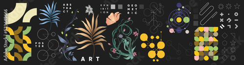 Geometric objects, tropical plants. Set of elements for design. Vector illustrations. Bauhaus style and floral elements. Vintage abstract paint, great design for any purposes.