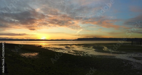 Sunset on Vashon Island, Washington, USA © Shannon Tomey