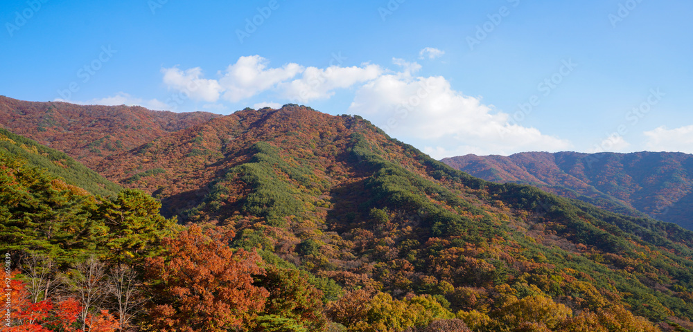 Clear sky, red colored autumn mountains