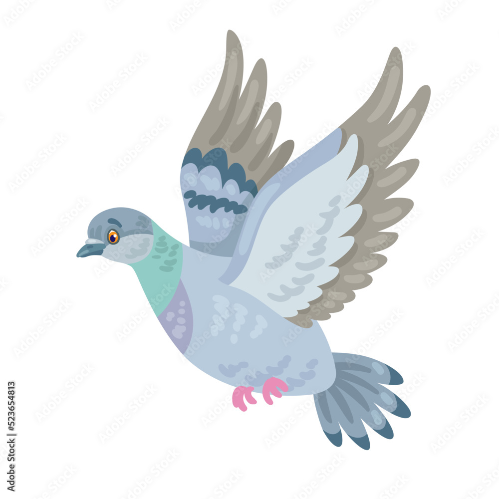 Obraz premium Gray dove is flying. In cartoon style. Isolated on white background. Vector flat illustration.