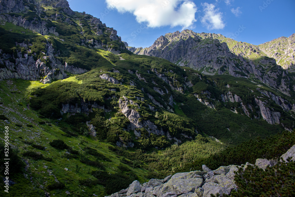 Tatry mountains around Dolina Roztoki valley near Zakopane, Poland