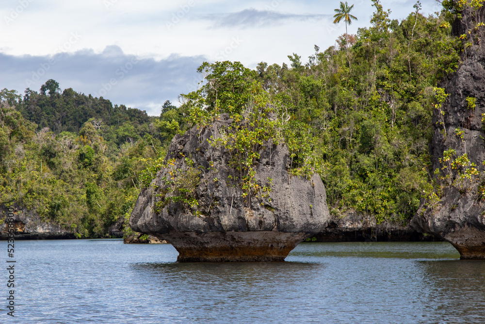 Small tropical island in the sea, Raja Ampat Small tropical island in the sea, Raja Ampat