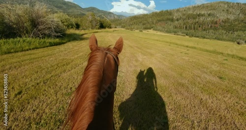 POV shot of woman horseback riding through meadow at sunset