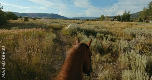 Point of view shot of woman horseback riding through meadow at sunset photo