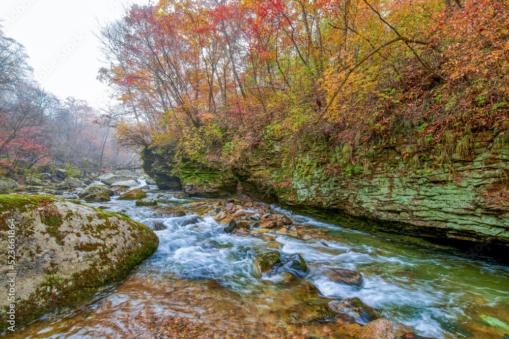 Autumn maple leaves and stream landscape. Autumn maple leaves and stream landscape.