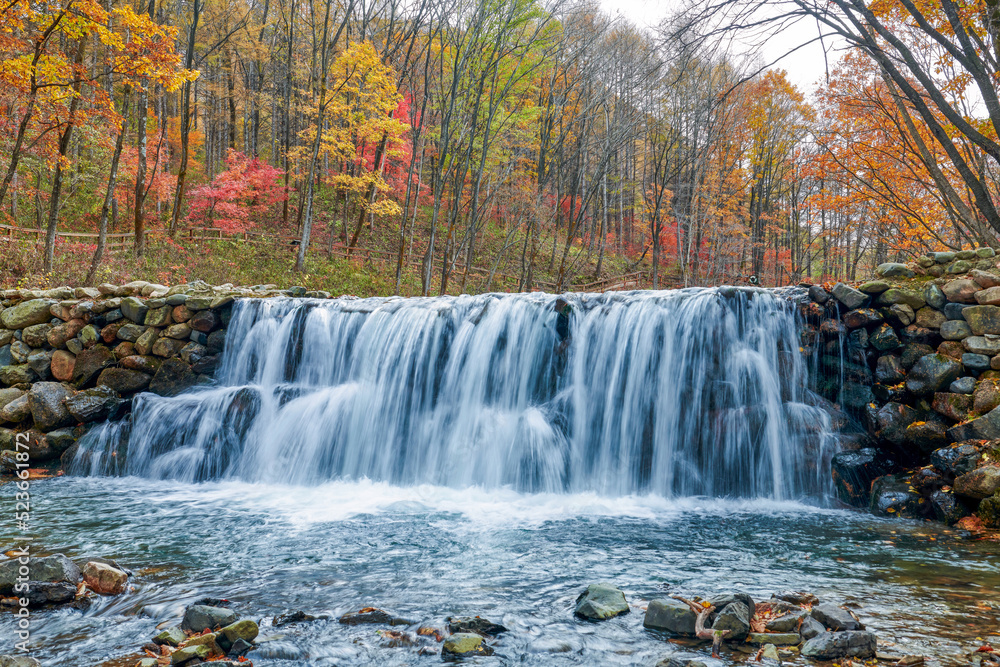 Obraz premium Autumn maple leaves and stream landscape.