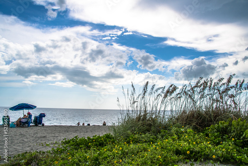 Path along the sea oat grass, flora and fauna for this southwest Florida beach. Location is Turtle Beach near popular travel tourist destination of Siesta Key. Storm clouds and sunshine illuminate sky