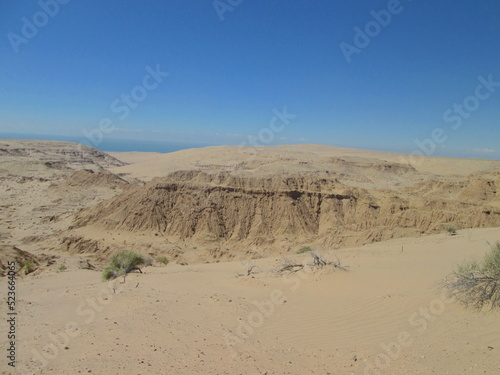 Desert with sea in the background