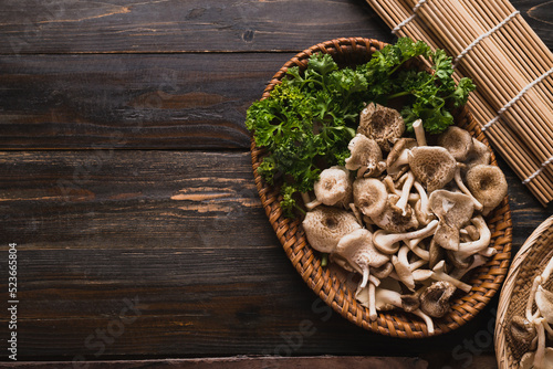 Fresh edible mushroom (Lentinus squarrosulus), Organic food ingredients in autumn season