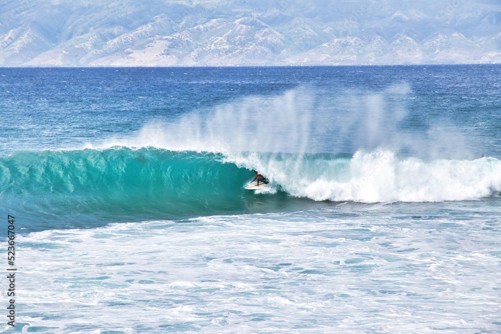 Surfer hidden within the curl of a breaking wave on maui. Surfer hidden within the curl of a breaking wave on maui.