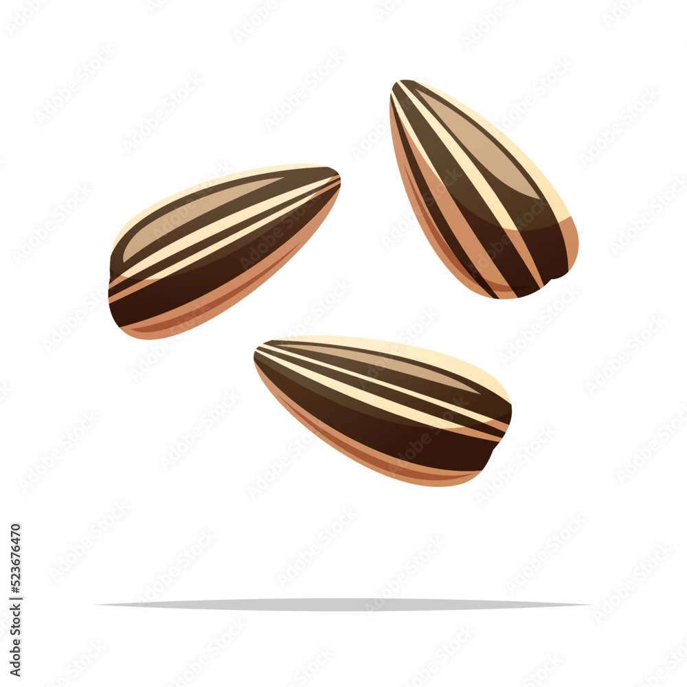 Sunflower seeds vector isolated illustration Sunflower seeds vector isolated illustration