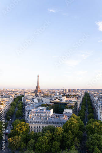 Panoramic View of Paris with Eiffel Tower Vertical