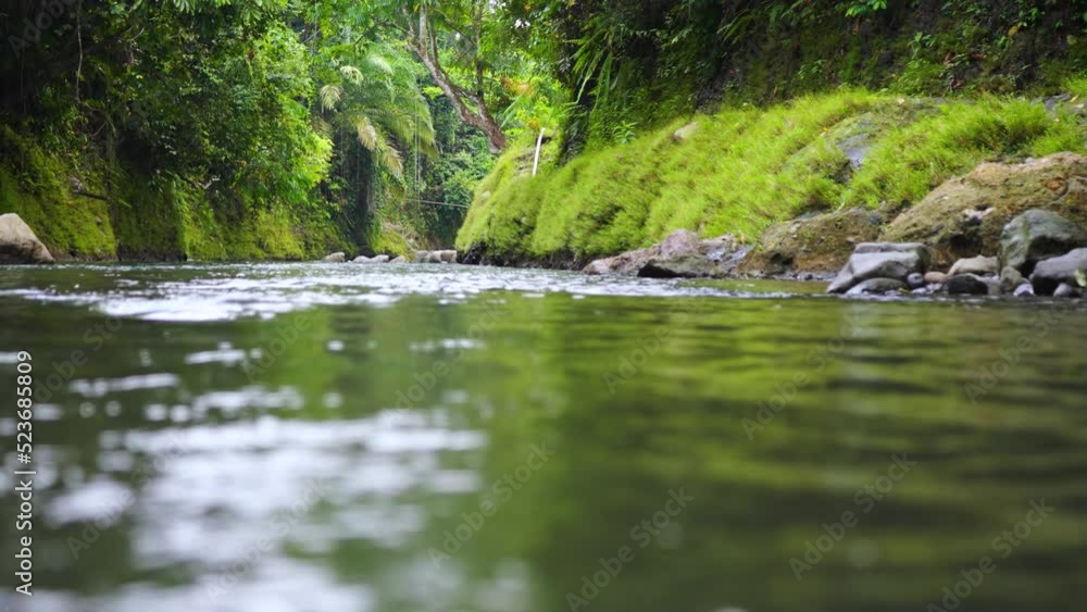 Low angle view of a river that shows green lands that flanked it Low angle view of a river that shows green lands that flanked it