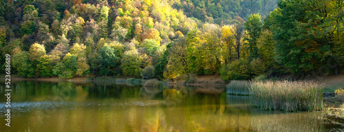 Fototapeta Naklejka Na Ścianę i Meble -  lake with green forest
